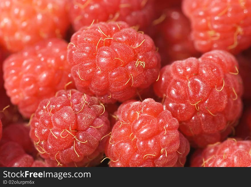 Heap of a fresh raspberry