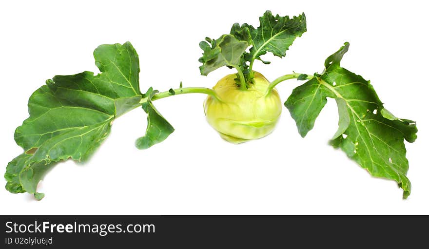 Green kohlrabi cabbage isolated on white background