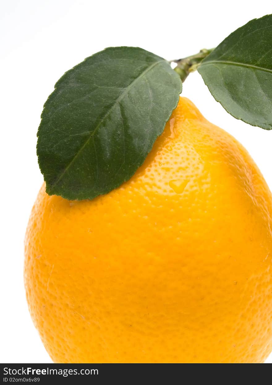 Lemon