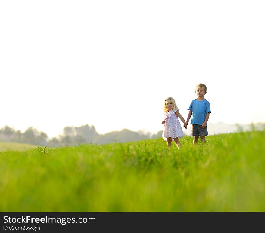 Brother and sister hold hands in the meadow, healthy happy children, copyspace provided. Brother and sister hold hands in the meadow, healthy happy children, copyspace provided