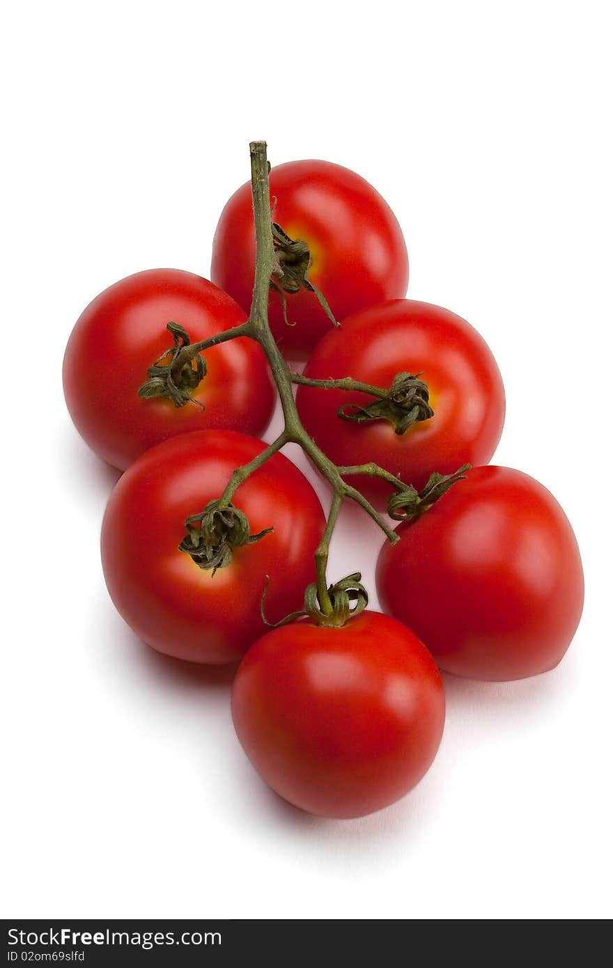 Tomatoes on a branch