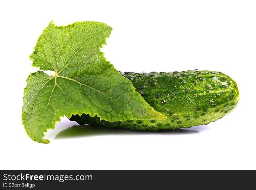 Cucumber and leaf