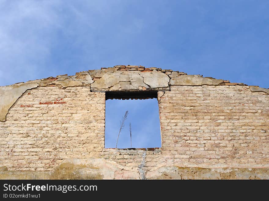 Old brick house ruins over blue sky background with grass stalks in window frame. Old brick house ruins over blue sky background with grass stalks in window frame