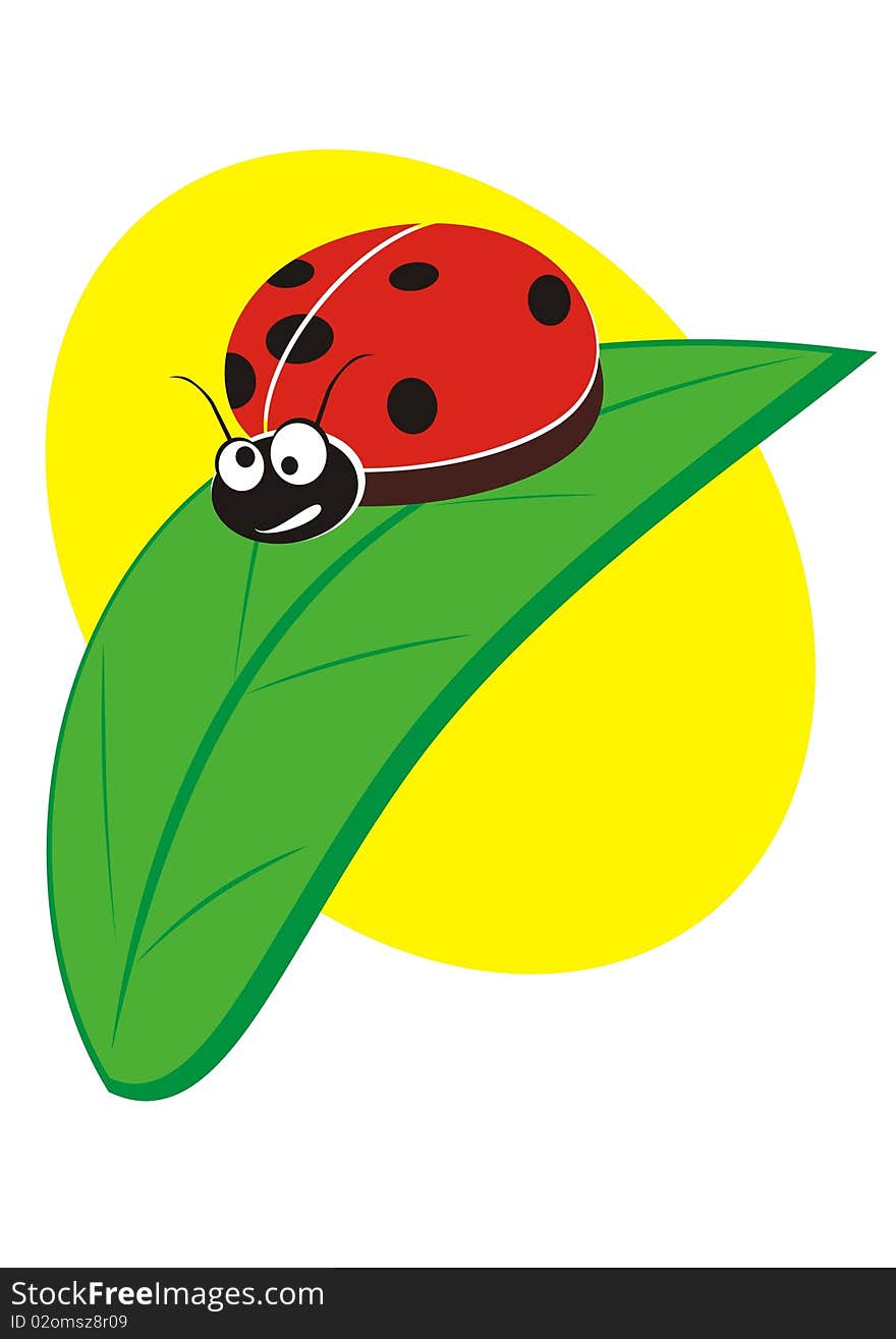 Ladybug