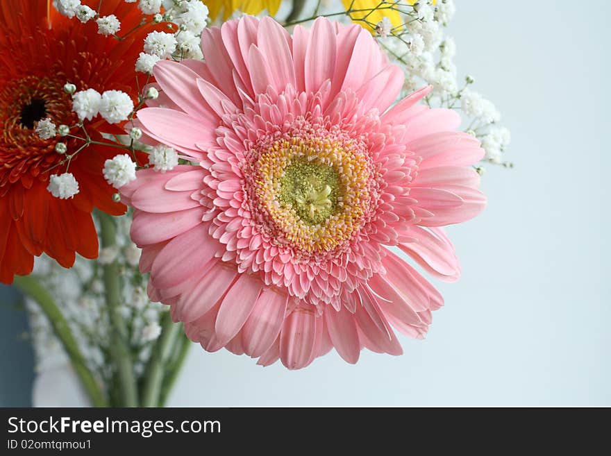 Gerbera flowers bouquet on the white background