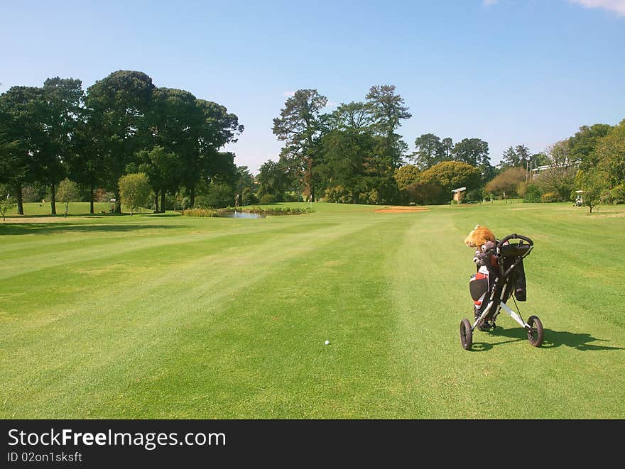 Golf Course Landscape