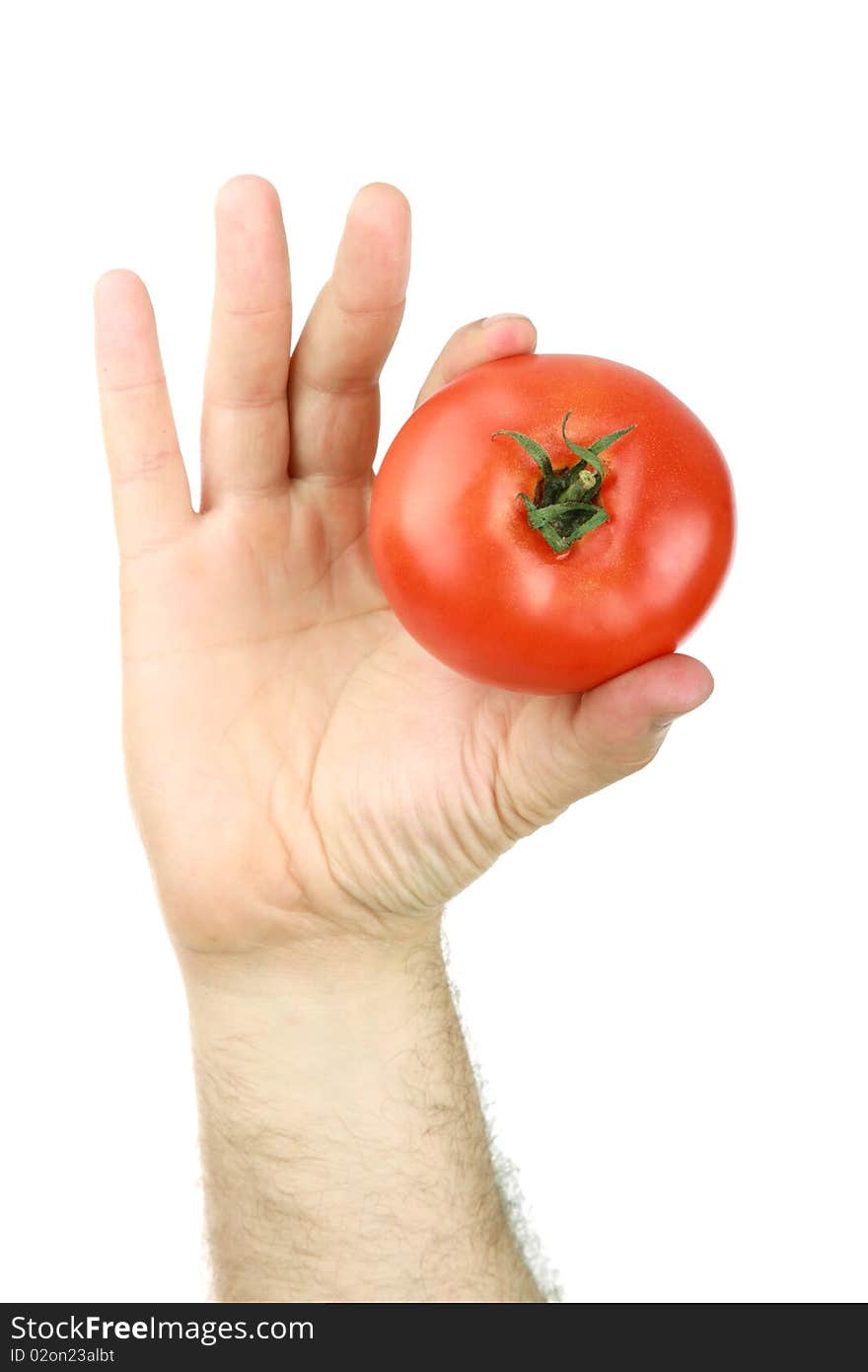 The man's hand holds a red tomato, is isolated on a white background