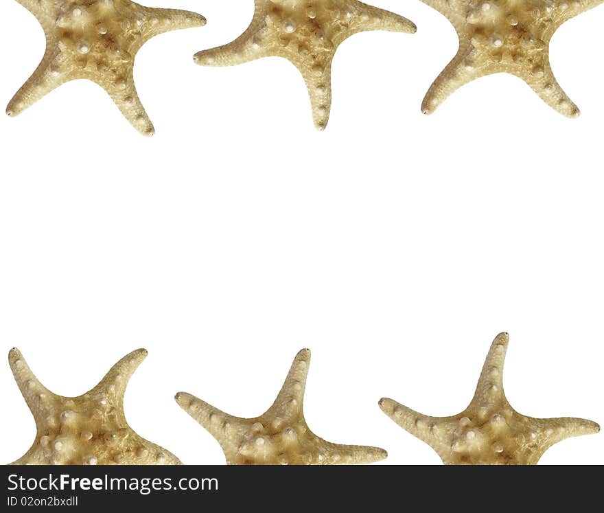 Frame made of 6 isolated starfishes. Frame made of 6 isolated starfishes.