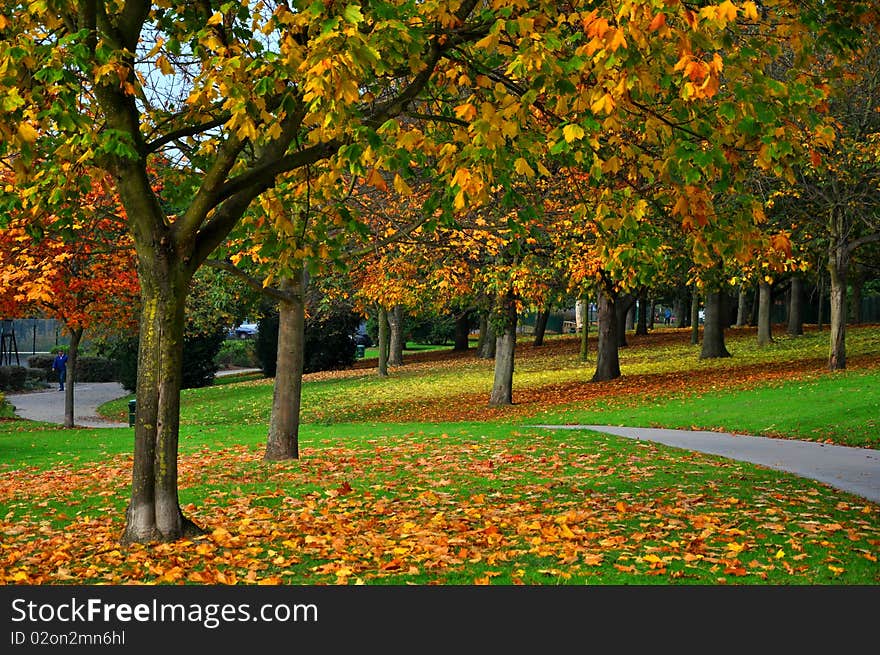 Autumn in Rafael Park.