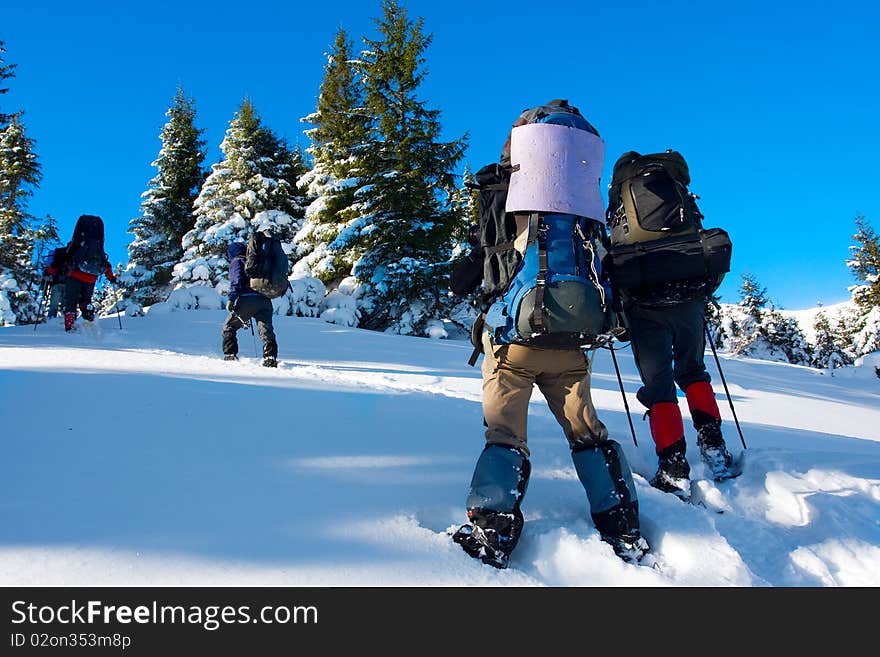 Hiker in winter in mountains