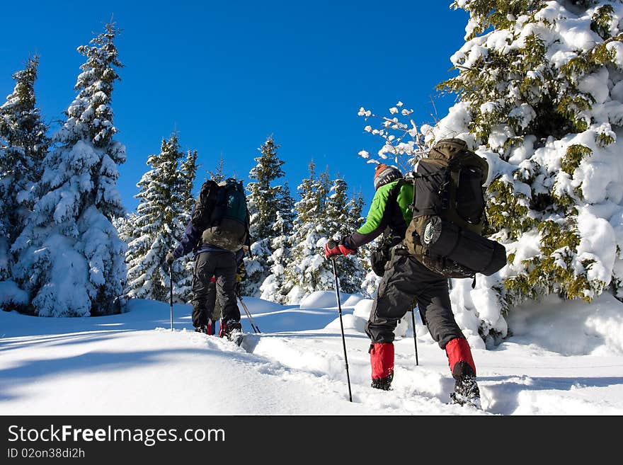 Hiker in winter in mountains