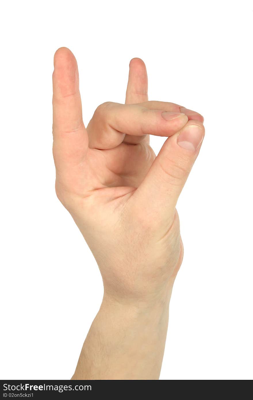 Hand gesture: making animal shape over white background