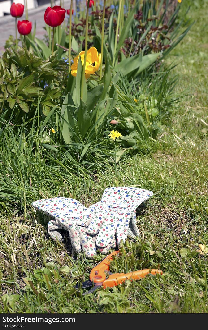 Gardening tools and gloves with tulips in the background