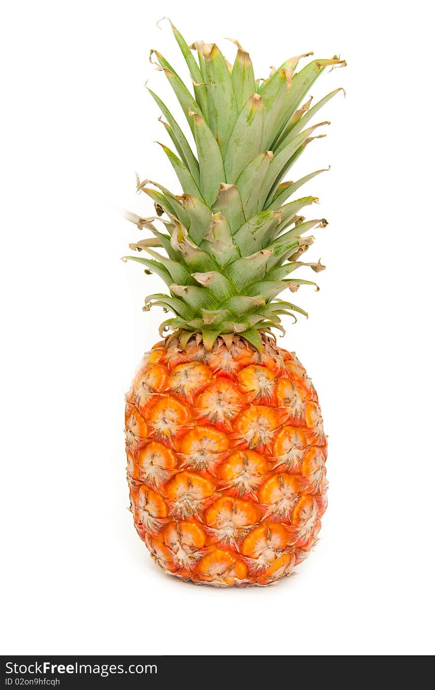 The image of ripe pineapple on a white background. The image of ripe pineapple on a white background