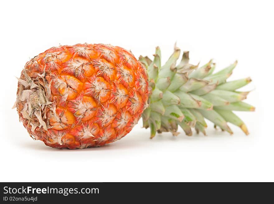 The image of ripe pineapple on a white background. The image of ripe pineapple on a white background