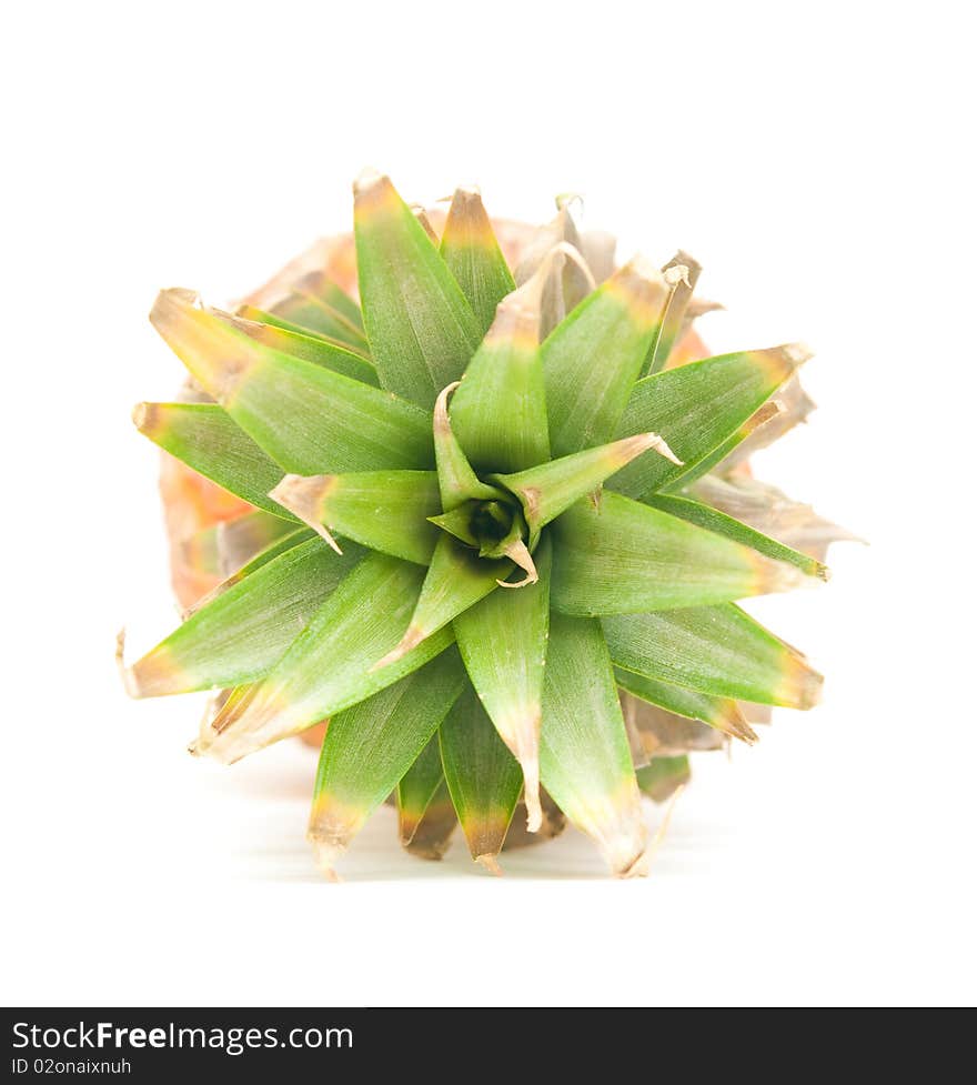 The image of ripe pineapple on a white background. The image of ripe pineapple on a white background