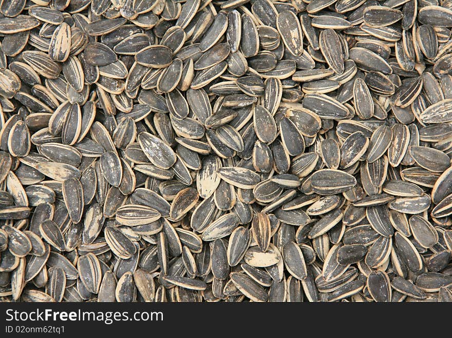 Background of salted sunflowers pips. Background of salted sunflowers pips