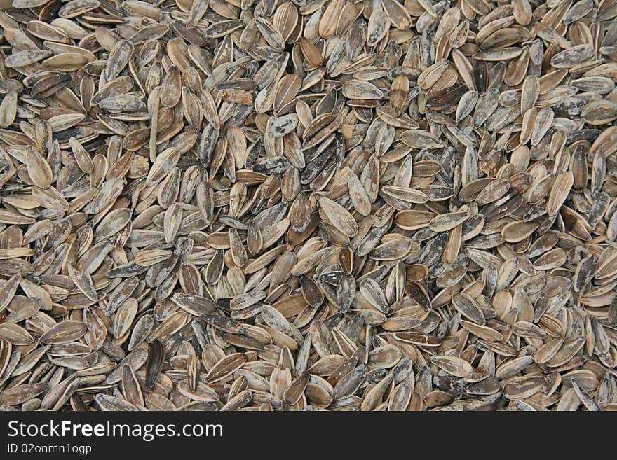 Background of salted sunflowers pips. Background of salted sunflowers pips