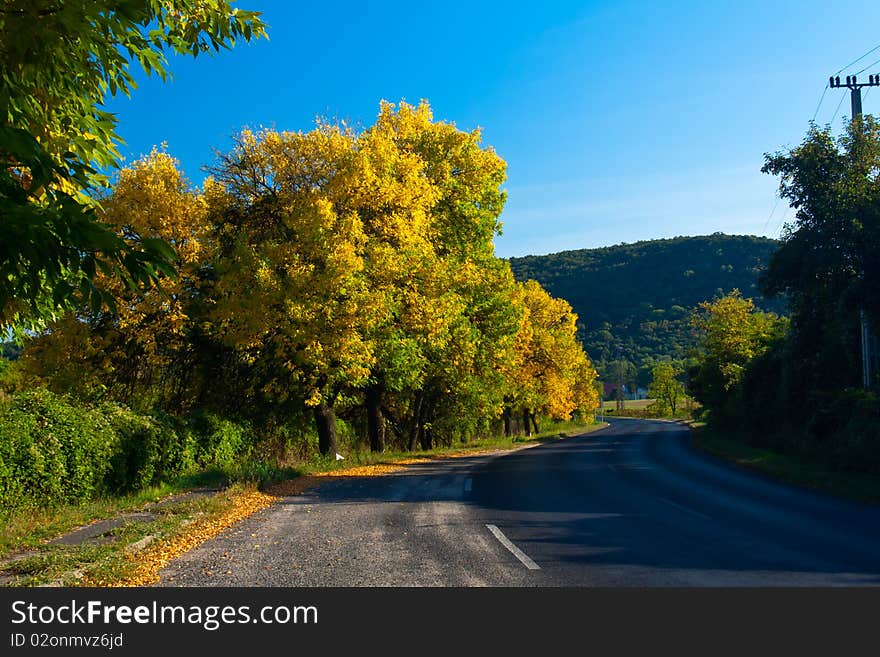 Road in autumn with a hill in background