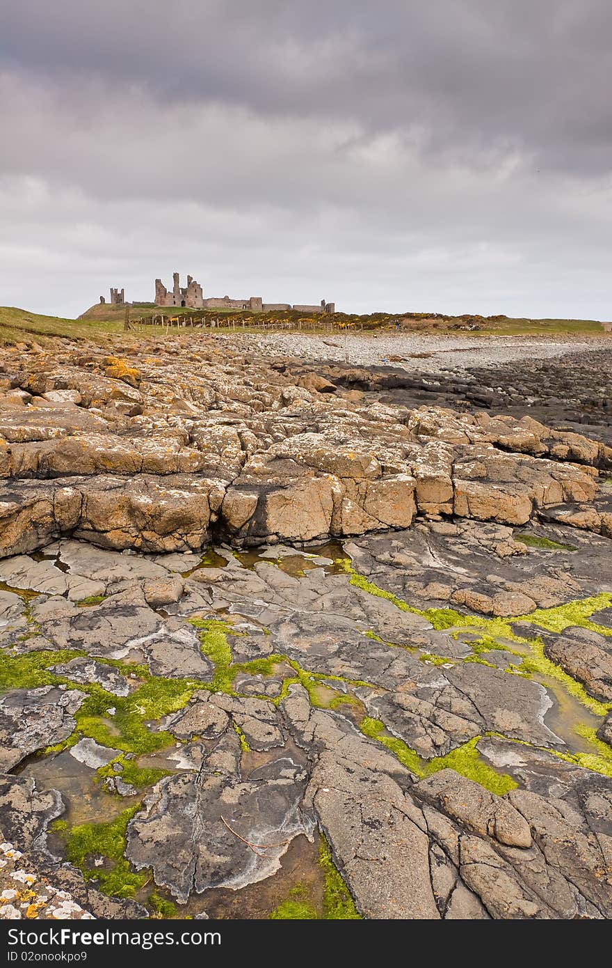 Dunstanburgh Castle and Seaweed