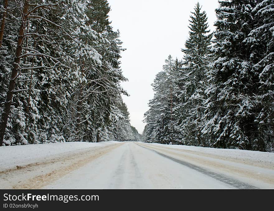 Long country road in winter