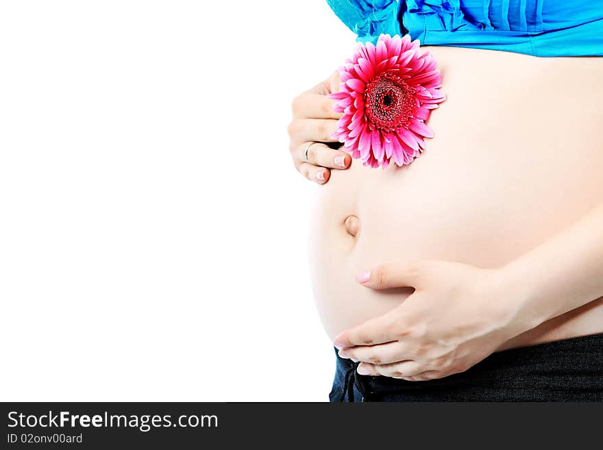 Close-up of a pregnant woman holding a flower. Isolated over white background. Close-up of a pregnant woman holding a flower. Isolated over white background.