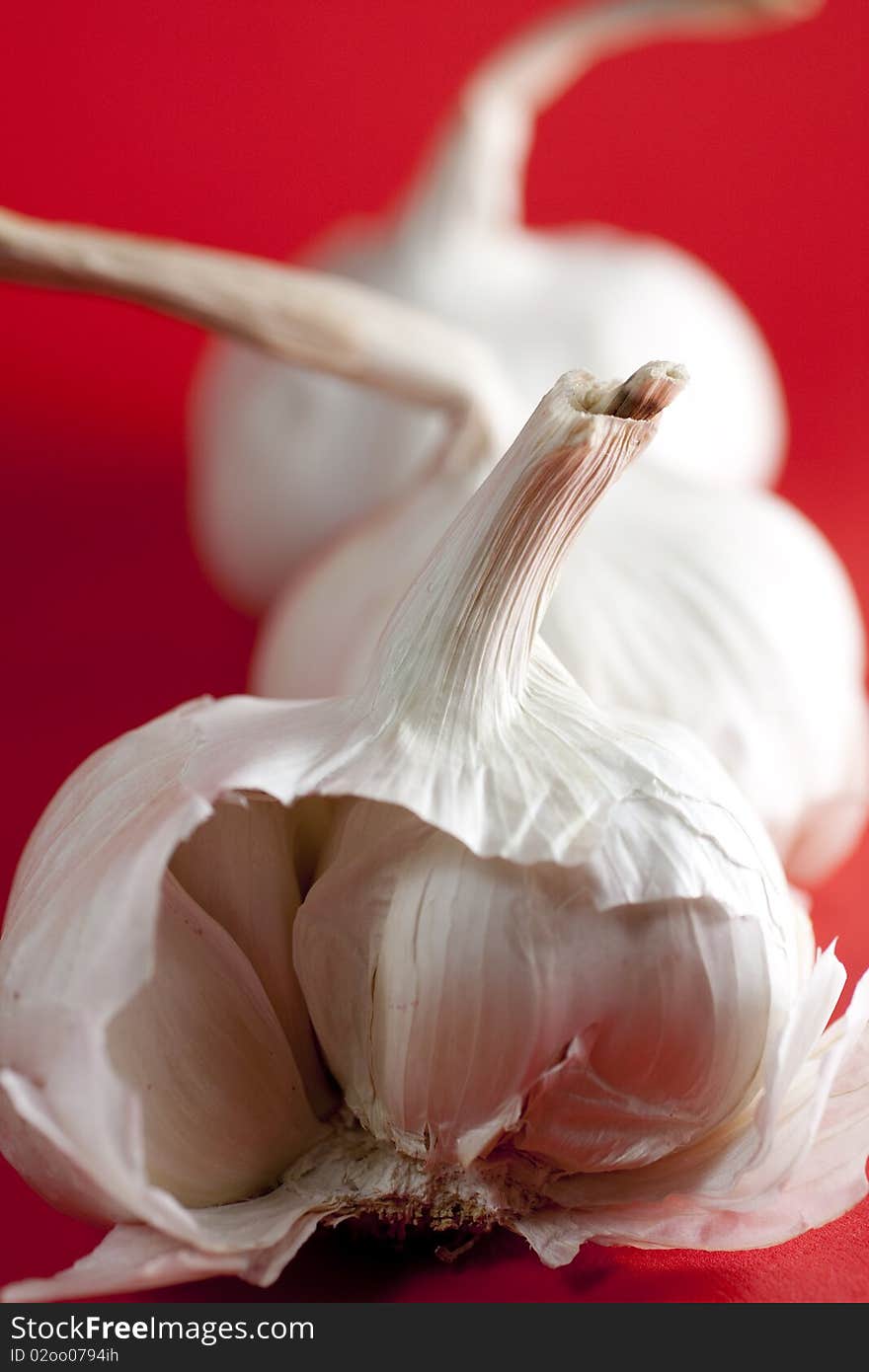 Garlic on red background, portrait