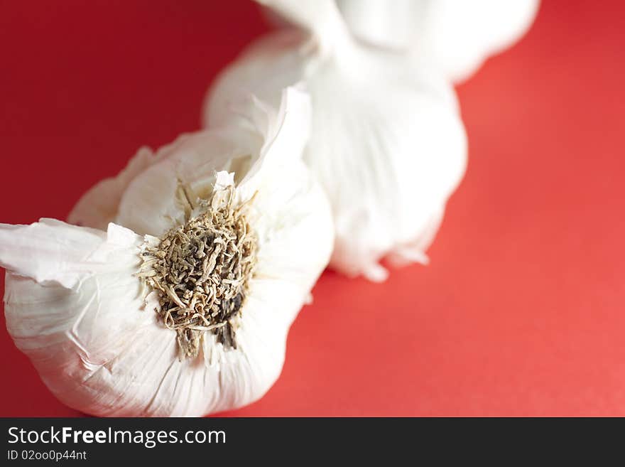 Garlic on red background, landscape