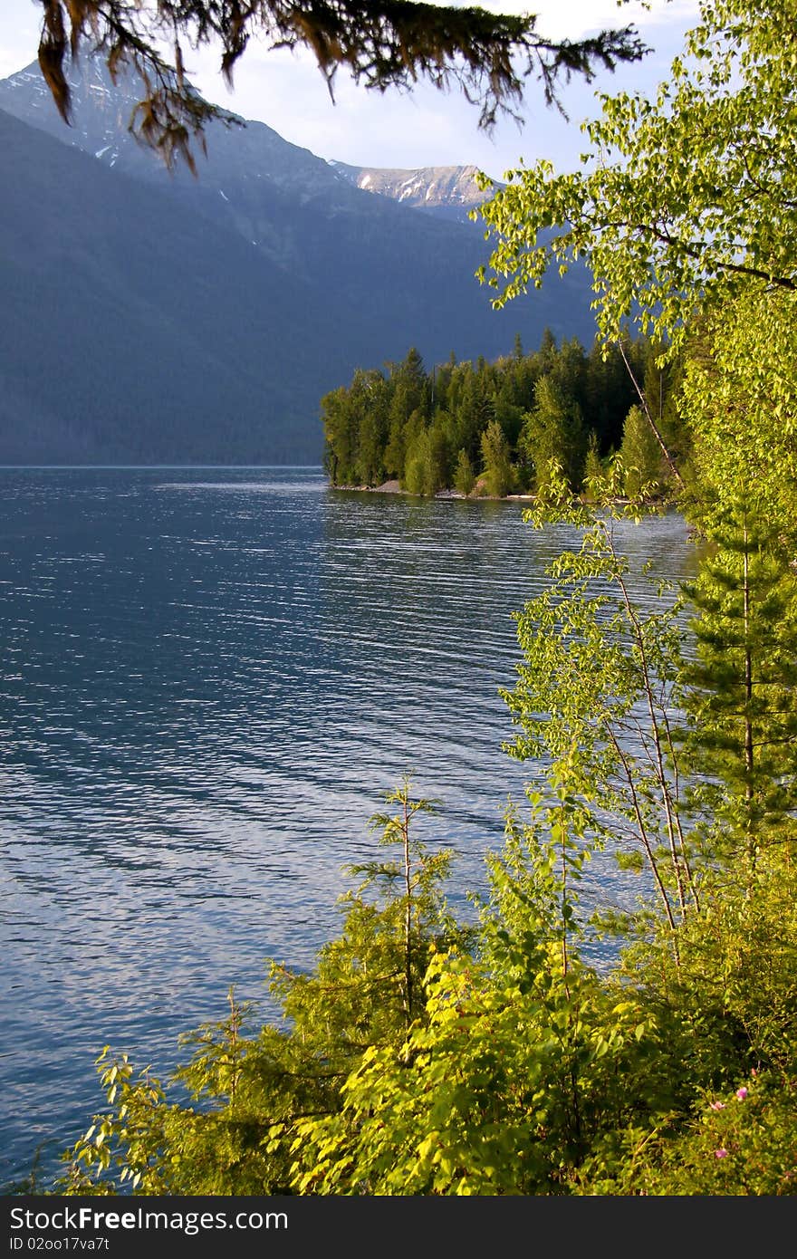 Lake McDonald tree reflections in Glacier national park