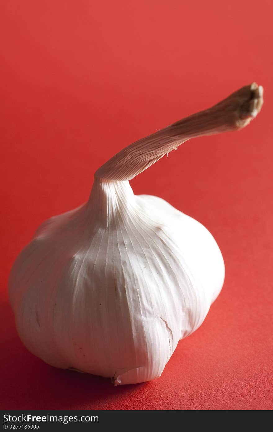 A whole garlic clove on red background