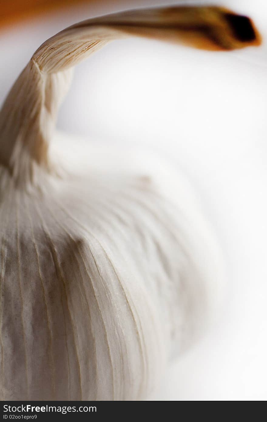 A whole garlic clove very close up on white background. A whole garlic clove very close up on white background