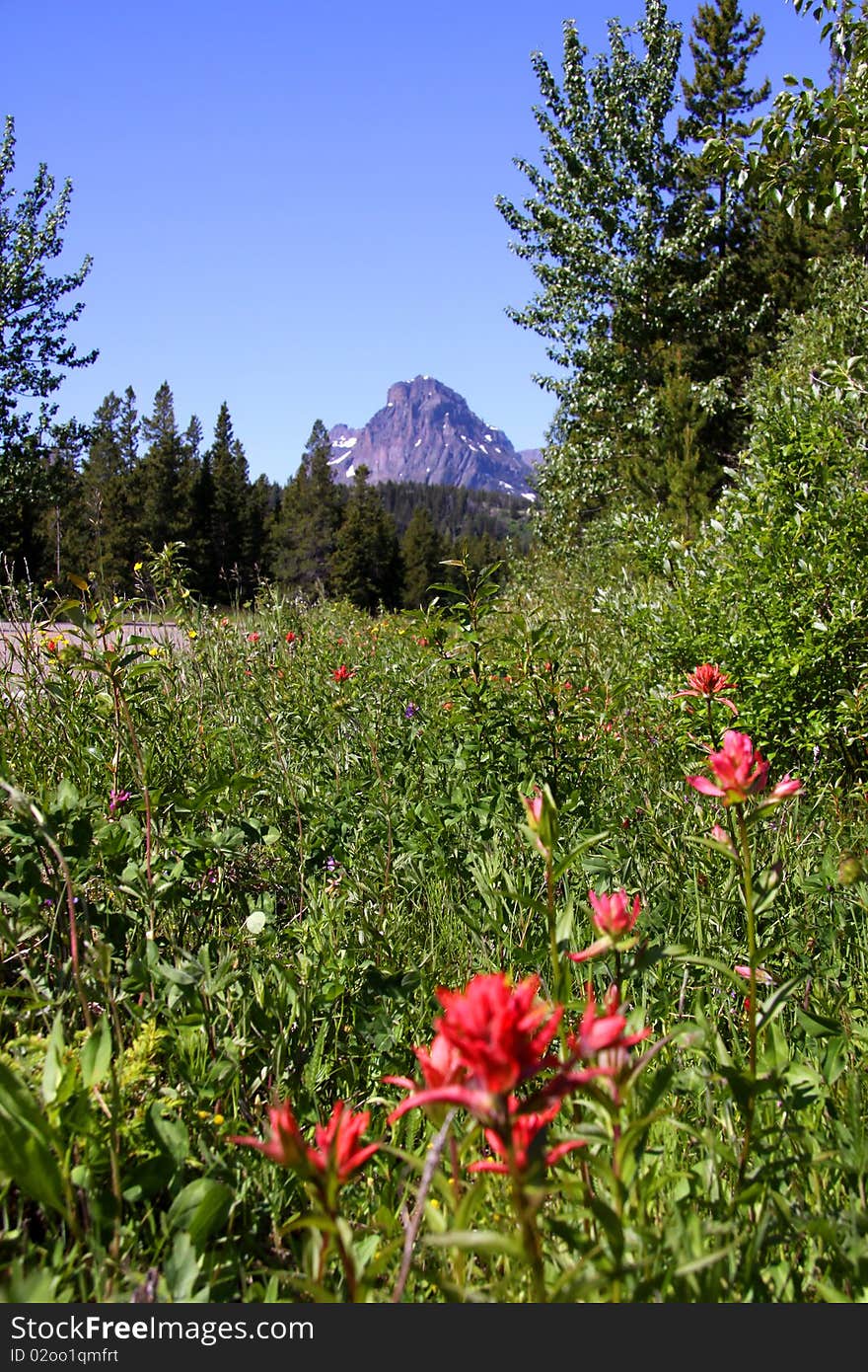 Summer scene in Glacier national park Montana. Summer scene in Glacier national park Montana