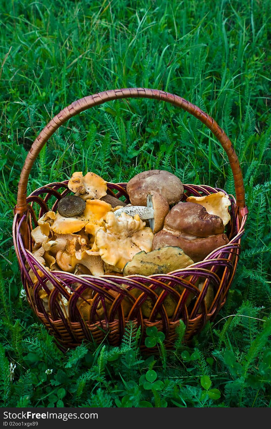 A photo of a basket full of mushrooms