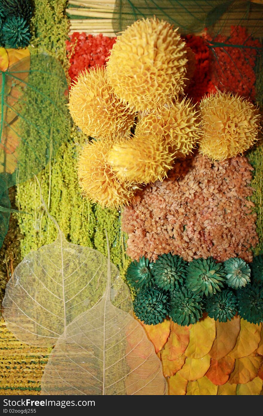 Dried flowers and leaves are arranged to form colourful background. Dried flowers and leaves are arranged to form colourful background.