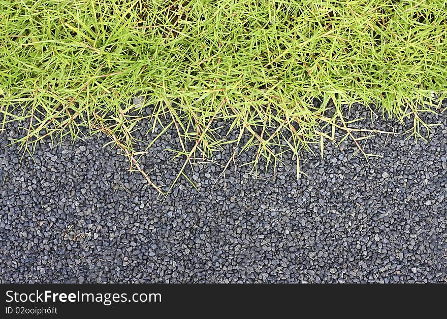 Garden Stone With Grass