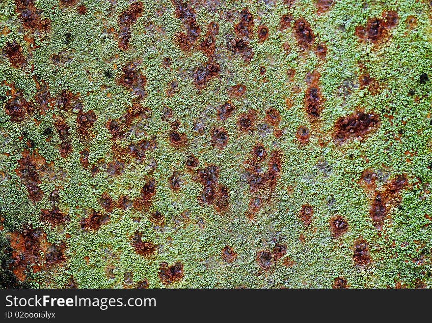 IT is rusty Corrugated Iron Fence.