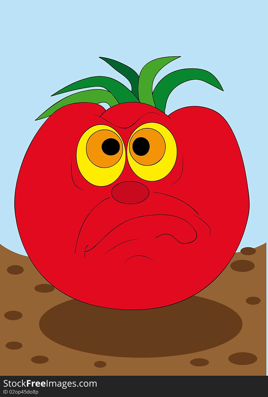 Fun Tomato