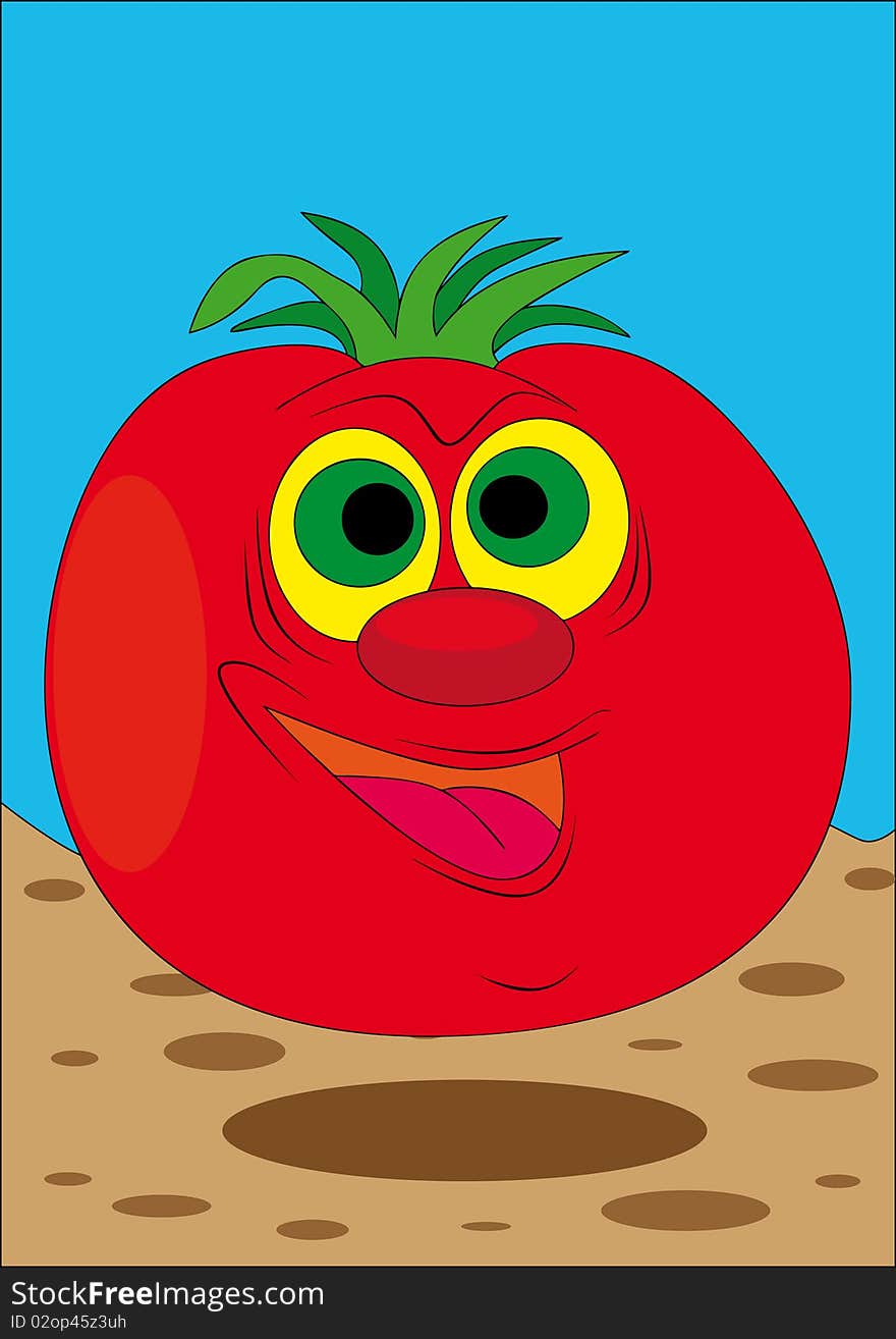 Fun Tomato