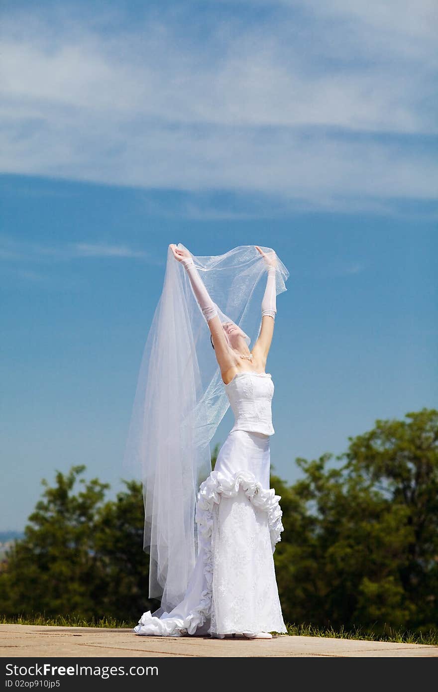 Bride and veil