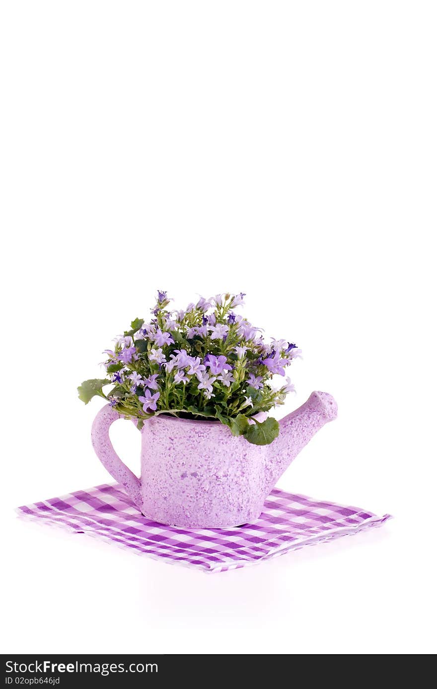 Purple flowers in watering can.