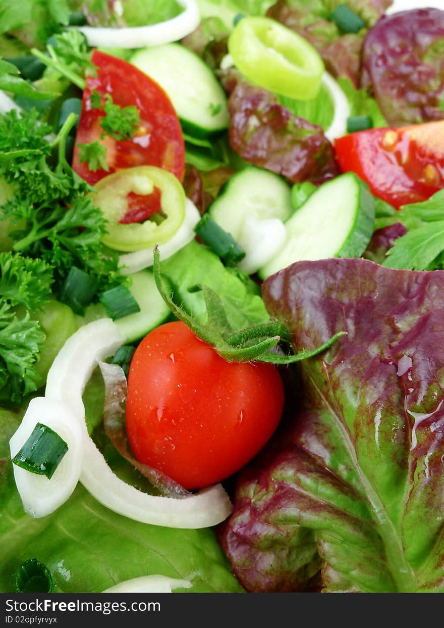 Vegetable Salad In Detail