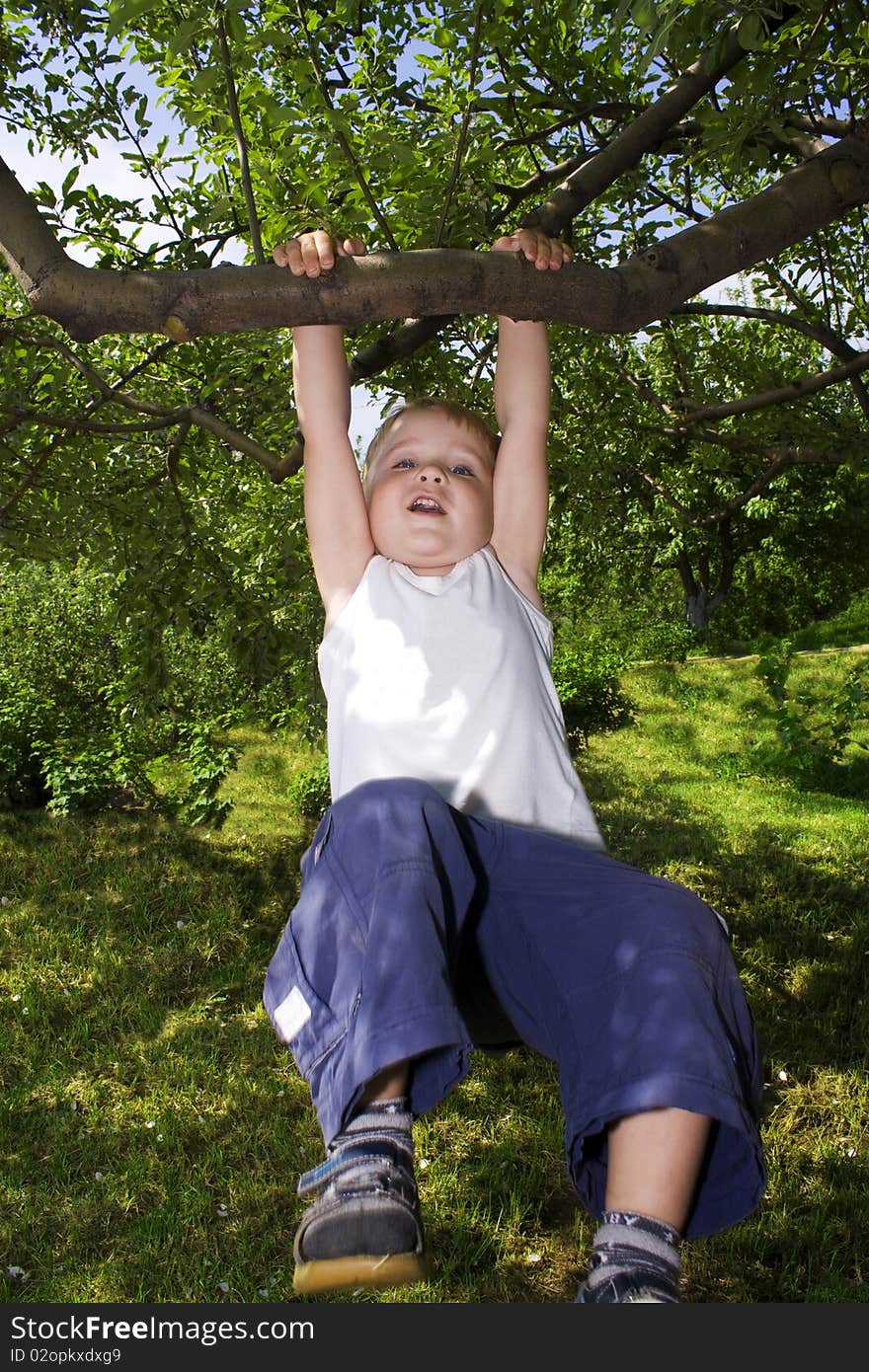 Boy swinging on a tree