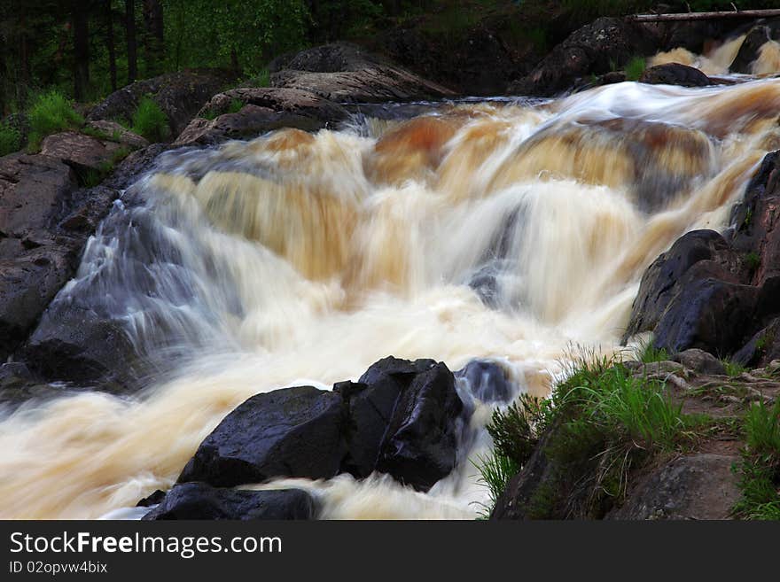 Forest waterfall