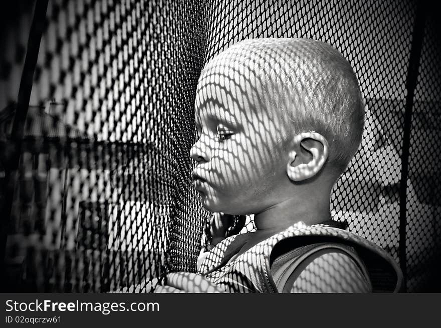 The trampoline Safety Enclosure and one wistful gaze