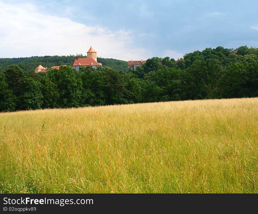 Castle in the mountains