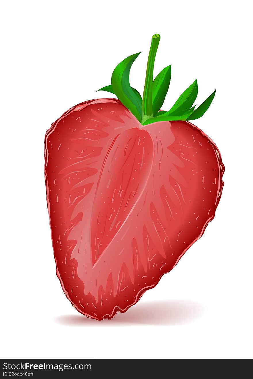 Realistic illustration of Strawberry Segment.