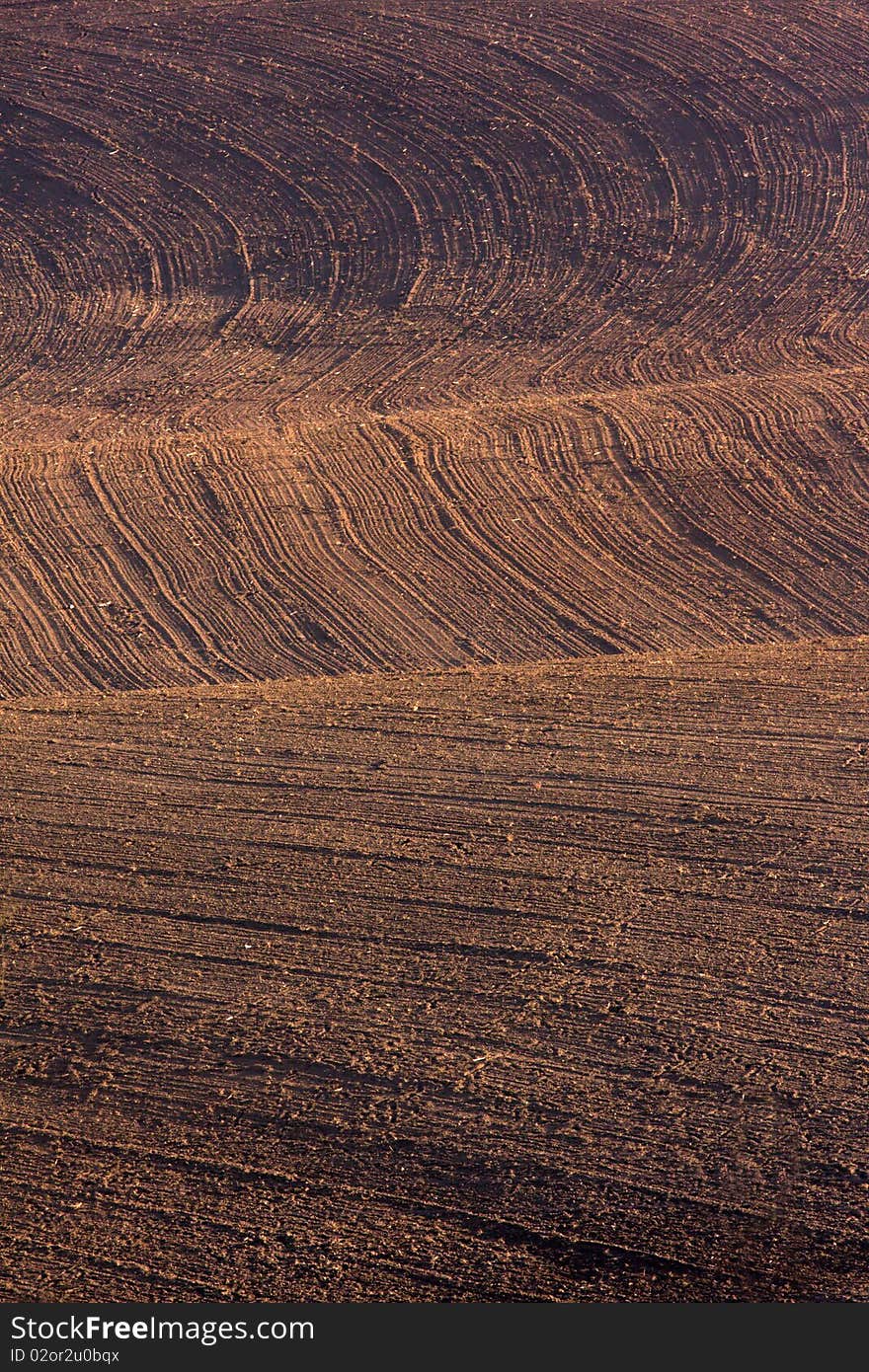 Ploughed field