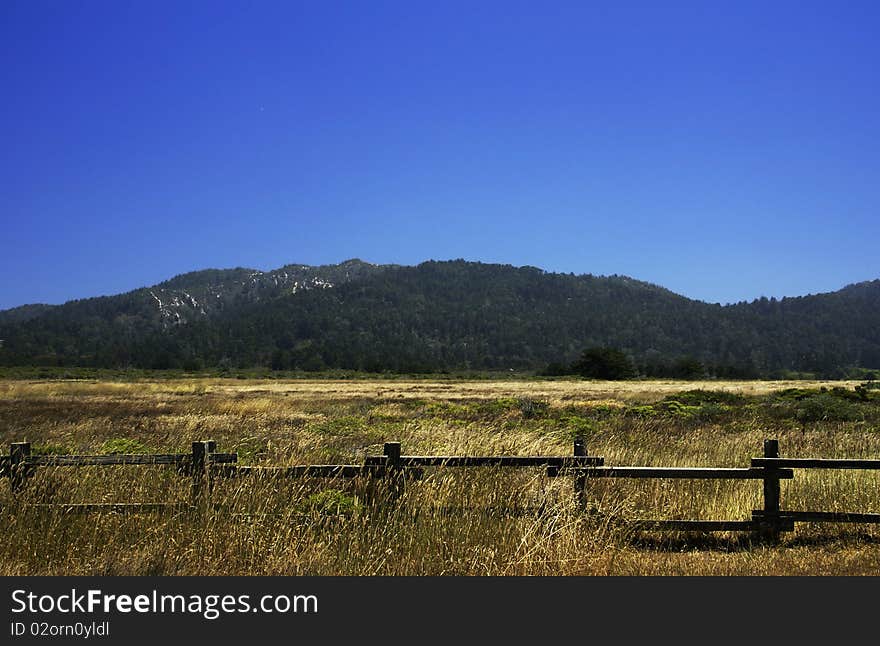 California Field and Mountain