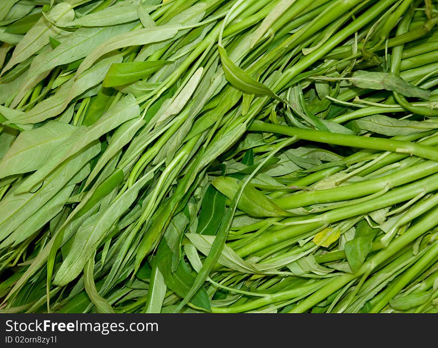 Water spinach, also called water morning glory, a vegetable frequently used in Southeast Asian cooking. One of the most famous dishes is Pak Bung Fai Daeng or Fried Morning Glory which is usually fried over a strong, open fire. Water spinach, also called water morning glory, a vegetable frequently used in Southeast Asian cooking. One of the most famous dishes is Pak Bung Fai Daeng or Fried Morning Glory which is usually fried over a strong, open fire.