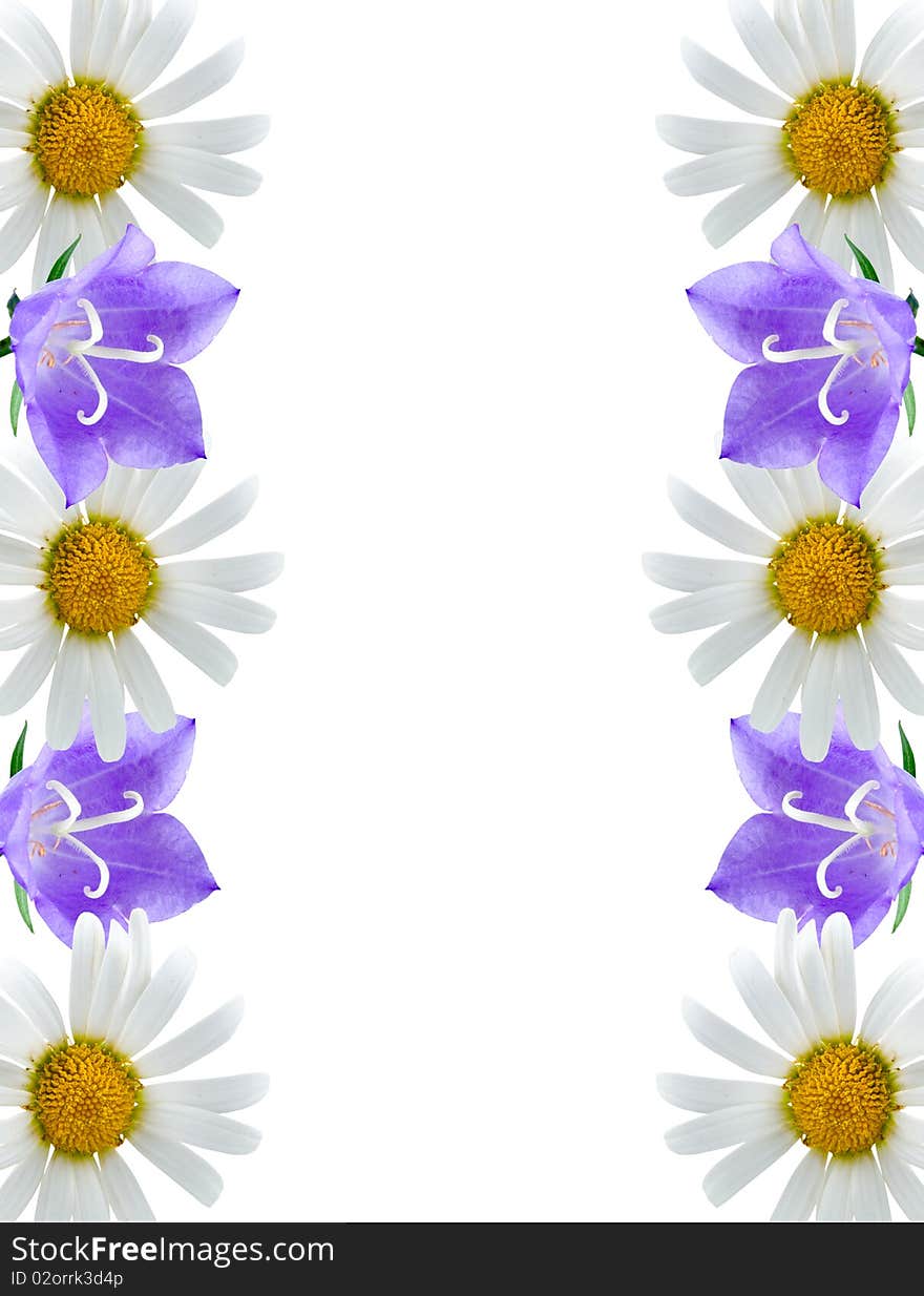 Border of flowers on a white background